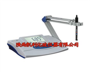 陜西DWS-51型鈉離子計(jì)