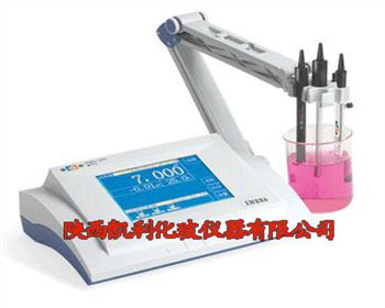 陜西PXSJ-226型離子計