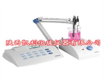陜西PXSJ-216型離子計
